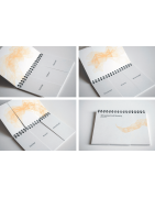 Philosophic Amalgam Book